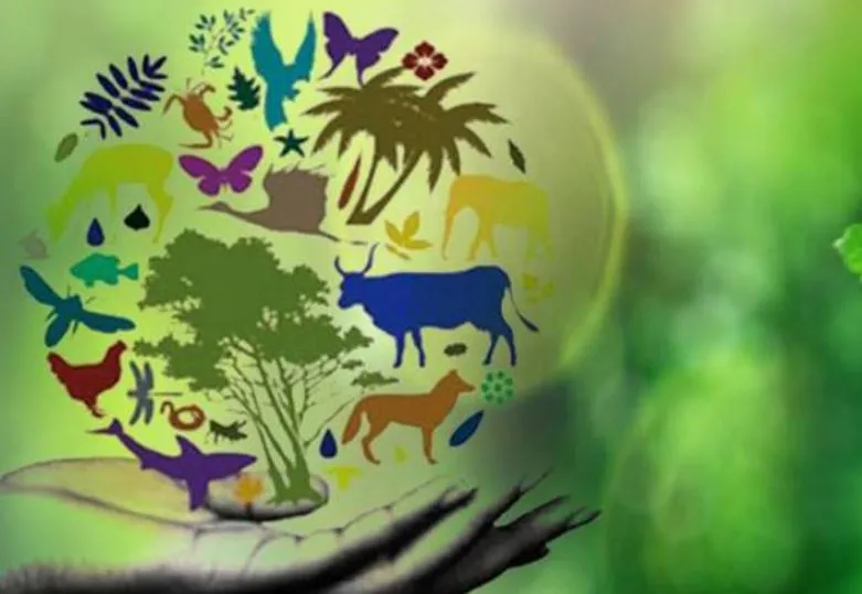 अस्तित्व का संकट 