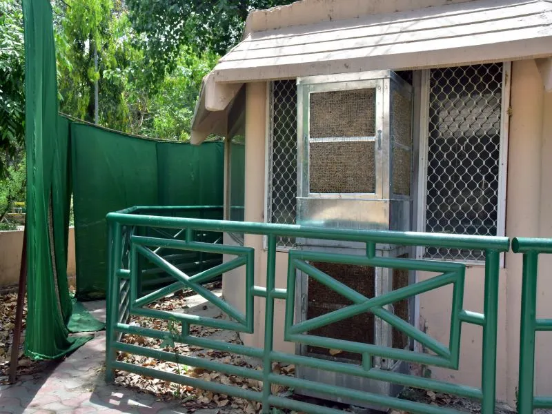  लखनऊ : कूलर की हवा खाएंगे वन्य जीव, बाड़ों में मौसम के अनुकूल व्यवस्था करने से चुस्त-दुरुस्त रहते हैं जानवर