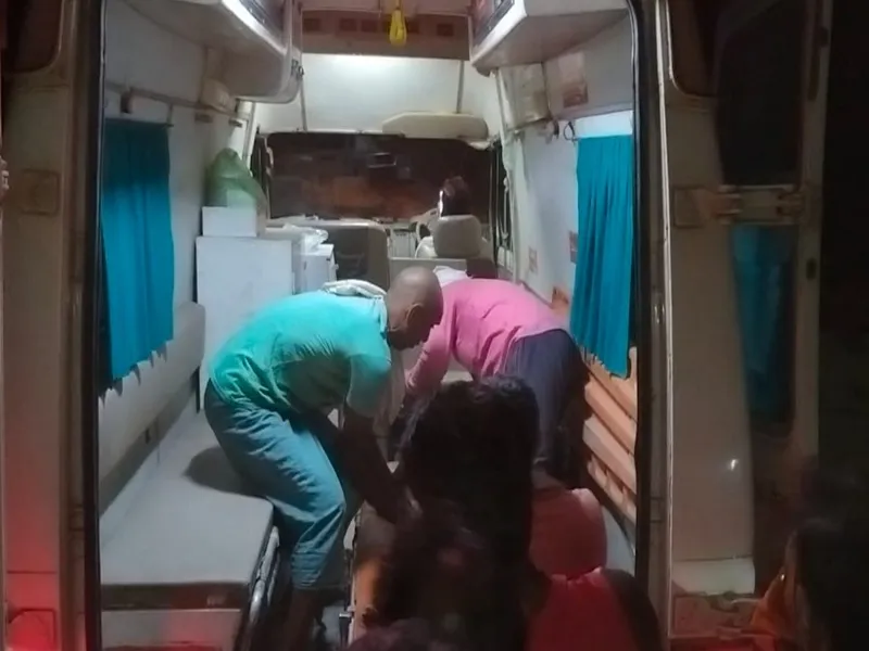 बहराइच: अन्ना मवेशी के हमले में बुजुर्ग की मौत, महिला लखनऊ रेफर