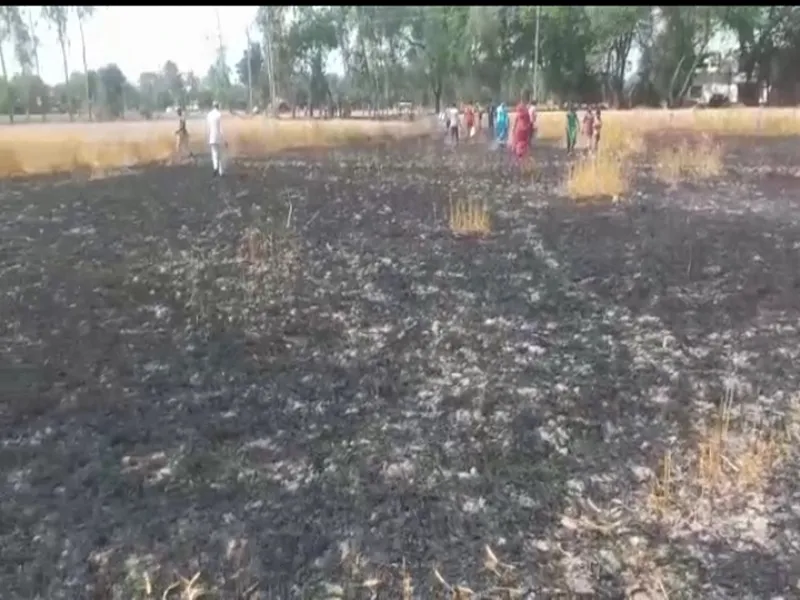 रायबरेली: गेहूं के खेत में लगी आग, दो बीघा फसल हुई राख