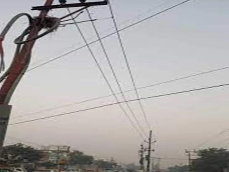 बहराइच: एचटी लाइन की चपेट में आने से दो मवेशियों की मौत, झुलसा युवक