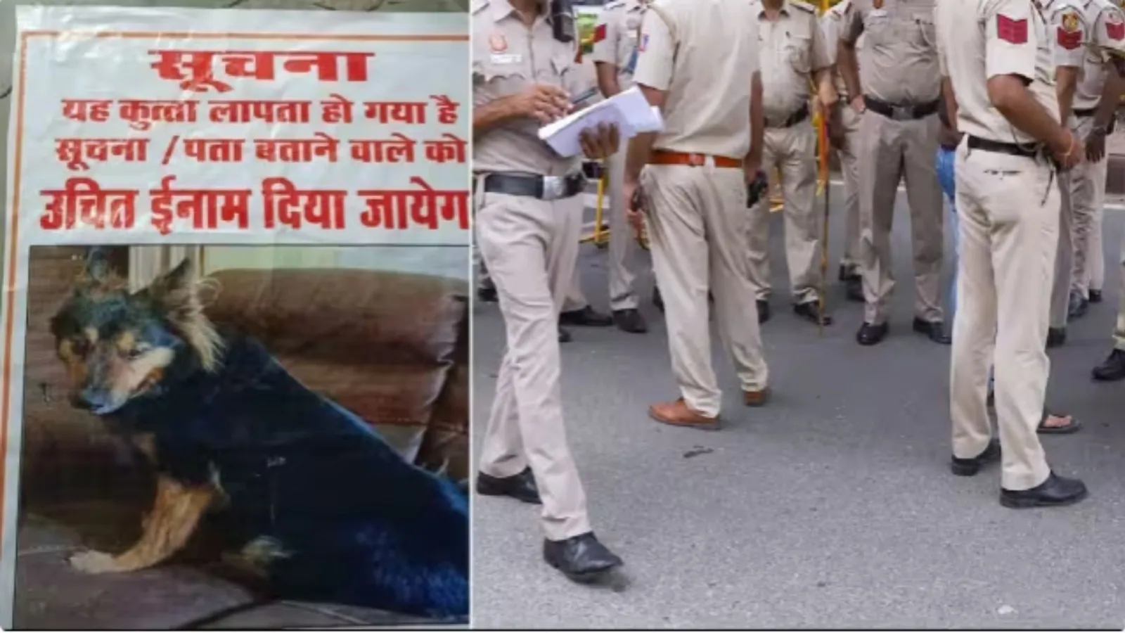 IAS अधिकारी का पालतू कुत्ता गायब, पूरे शहर में लगा दिए इनाम वाले पोस्टर, पुलिस तलाश में जुटी