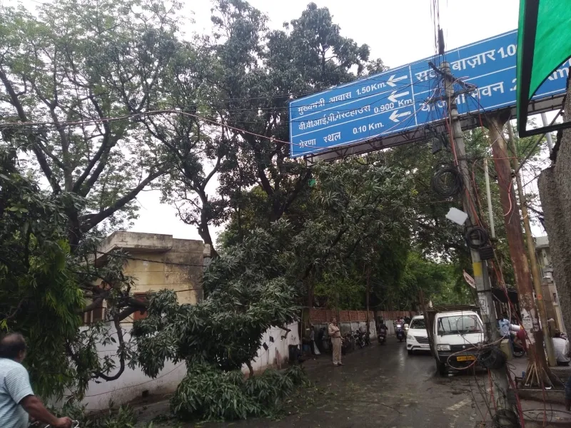 लखनऊ: मौसम बदलने से तापमान हुआ कम, बारिश के चलते सड़क पर गिरी पेड़ की डाल  