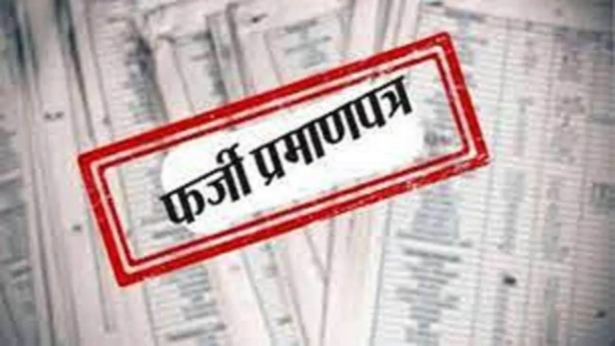 फर्जी जाति प्रमाणपत्र: सवाल तो कई हैं मगर जांच तो हो, तहसीलदार बोले- नहीं मिला आदेश