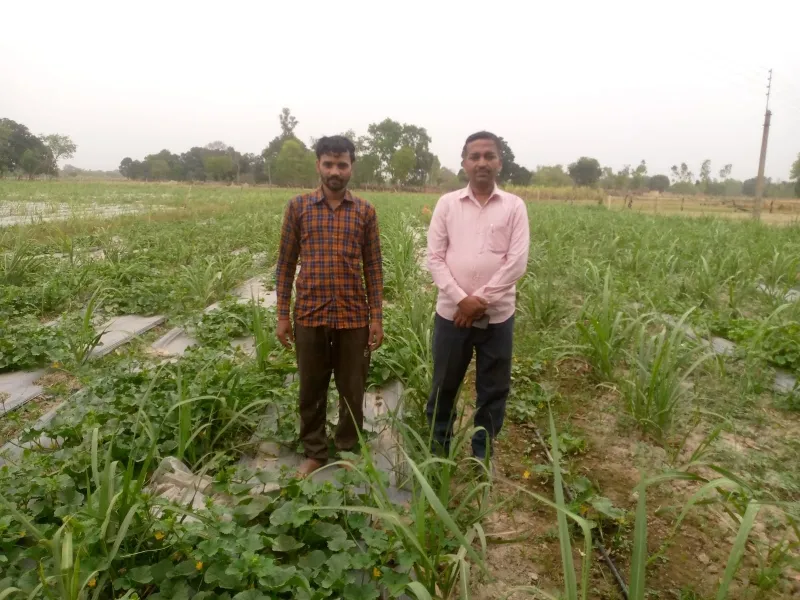 अयोध्या: यहां किसानों के प्रेरणा स्रोत बने बसवार के चौरसिया बंधु 