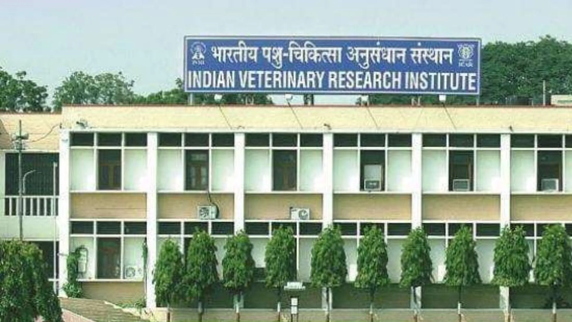 बरेली : सड़ी-गली सब्जियों से बनाया चारा-दाना का विकल्प