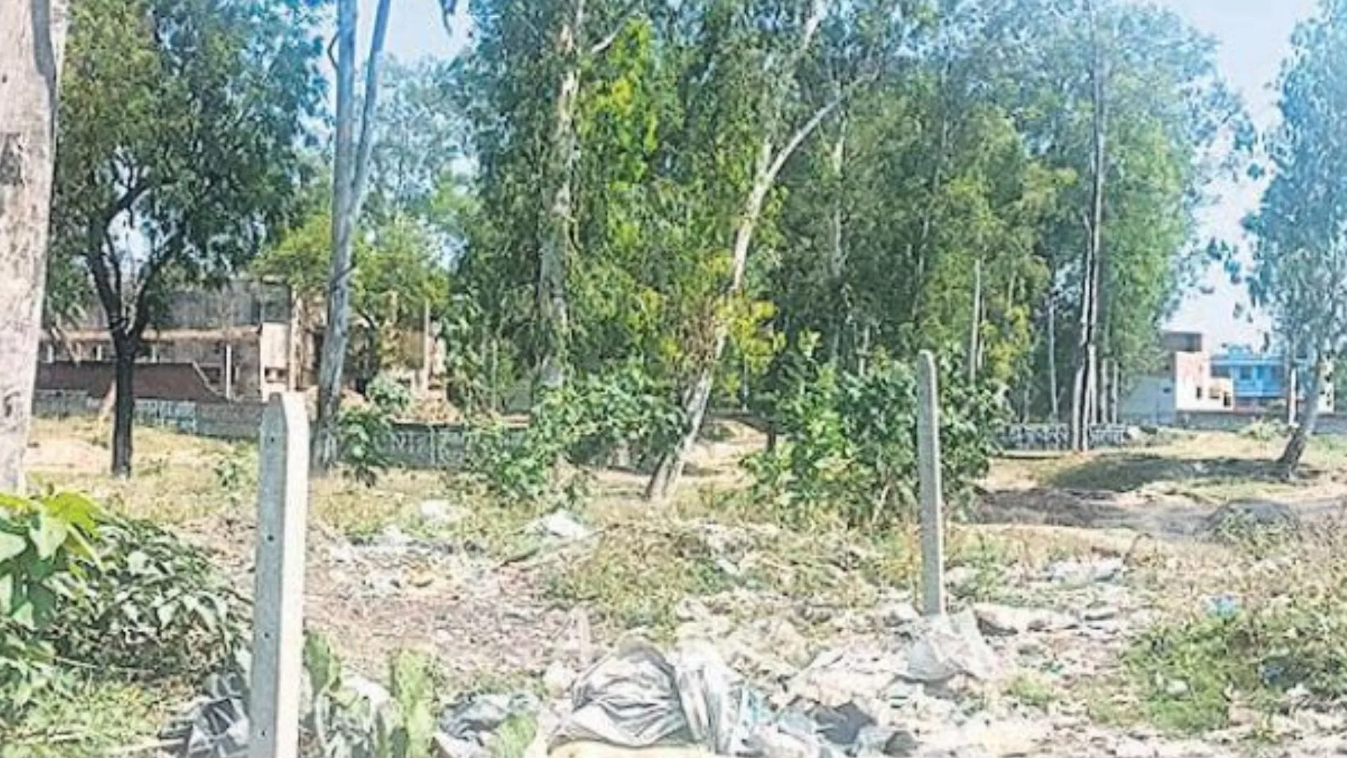 बरेली : फिलहाल कूड़े के ढेरों के नीचे दबा आईटी विद्यार्थियों के रोजगार का सपना