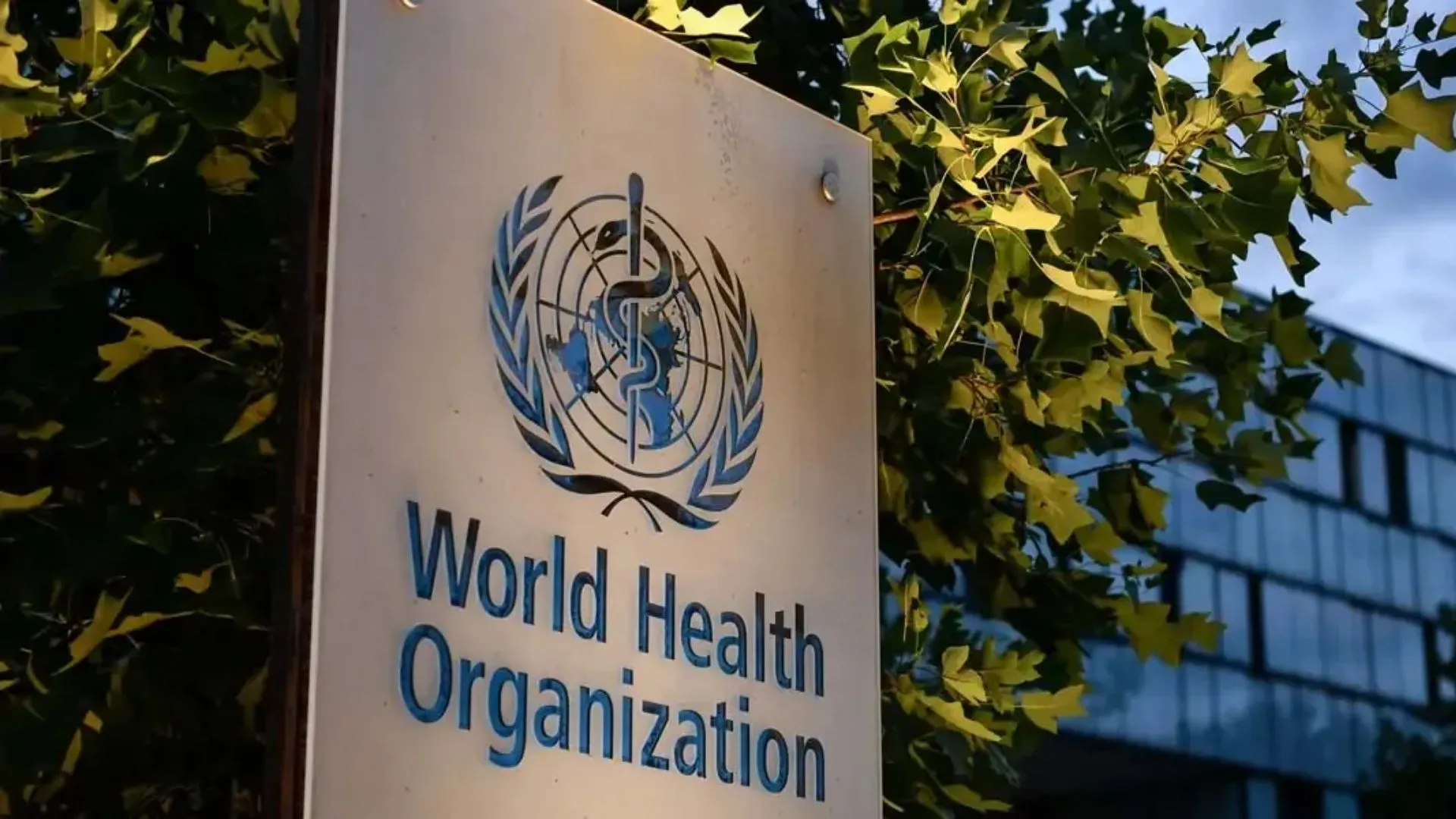 07 अप्रैल :  संयुक्त राष्ट्र द्वारा विश्व स्वास्थ्य संगठन का गठन, जानिए आज का इतिहास