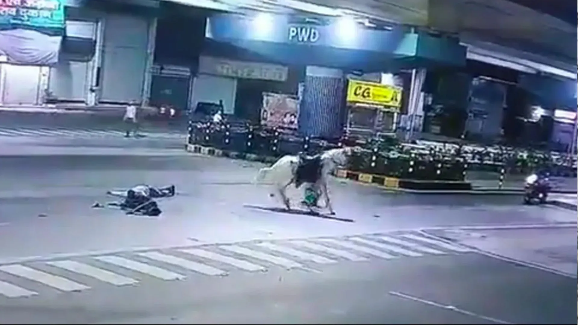 Video: सड़क पार कर रहा था घोड़ा, नीचे से निकल गया बाइक सवार, फिर जो हुआ, डरा देगा वीडियो