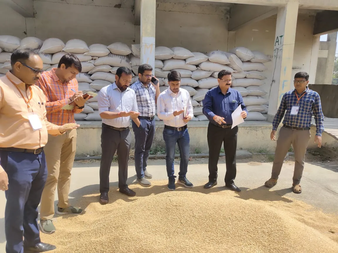 बरेली: केंद्र से आई टीम ने बारिश से खराब गेहूं के लिए सैंपल