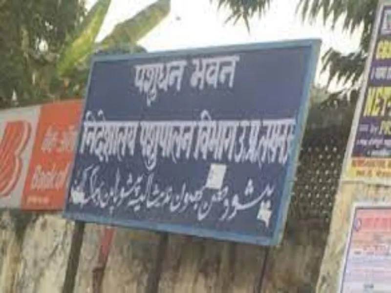 लखनऊ: पशु पालन विभाग के कंप्यूटर ऑपरेटरों का रोका मानदेय