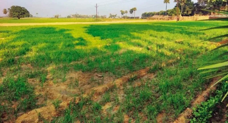 खटीमा: जमीन अपने नाम करने व धमकाने का आरोप