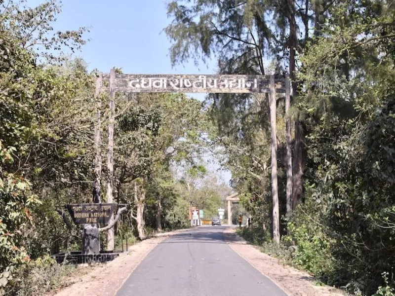 अब हफ्ते के इस दिन नहीं होगी दुधवा टाइगर रिजर्व में एंट्री, सोच-समझकर बनाएं घूमने का प्लान   