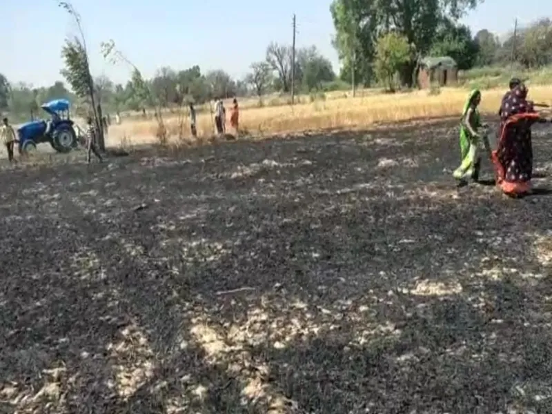 अयोध्या: शार्ट सर्किट से लगी आग, पांच बीघा गेहूं फसल राख 