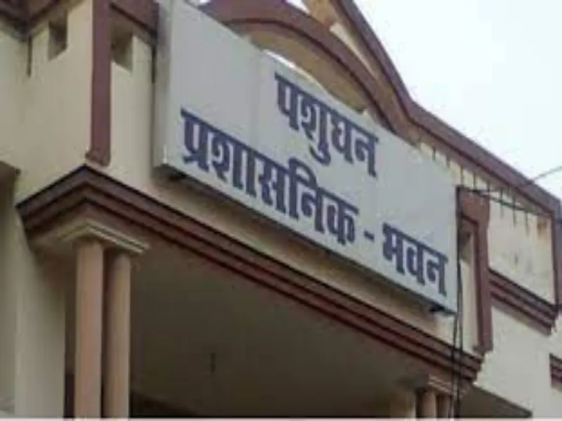 Amrit Vichar Impact : पशु पालन विभाग के कंप्यूटर आपरेटरों को मिला मानदेय 