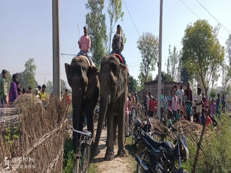 Bahraich Breaking News : जंगल से निकले तेंदुए ने पांच लोगों पर किया हमला, मकान में हुआ कैद