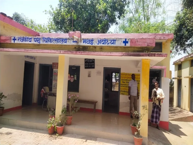 अयोध्या: पशु अस्पतालों को खुद है इलाज की दरकार 