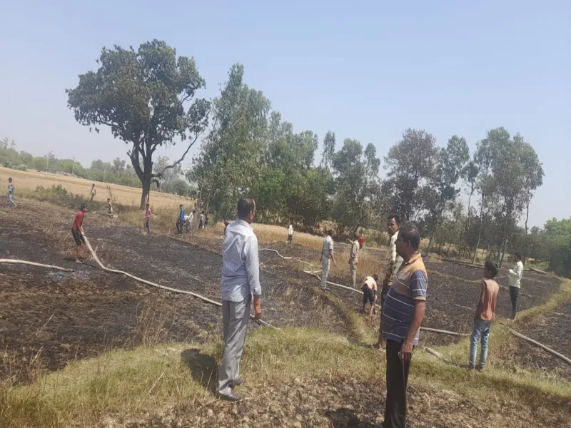 रायबरेली: विद्युत तार की चिंगारी से दस बीघे गेहूं की फसल राख, ग्रामीणों ने मिलकर बुझाई आग 
