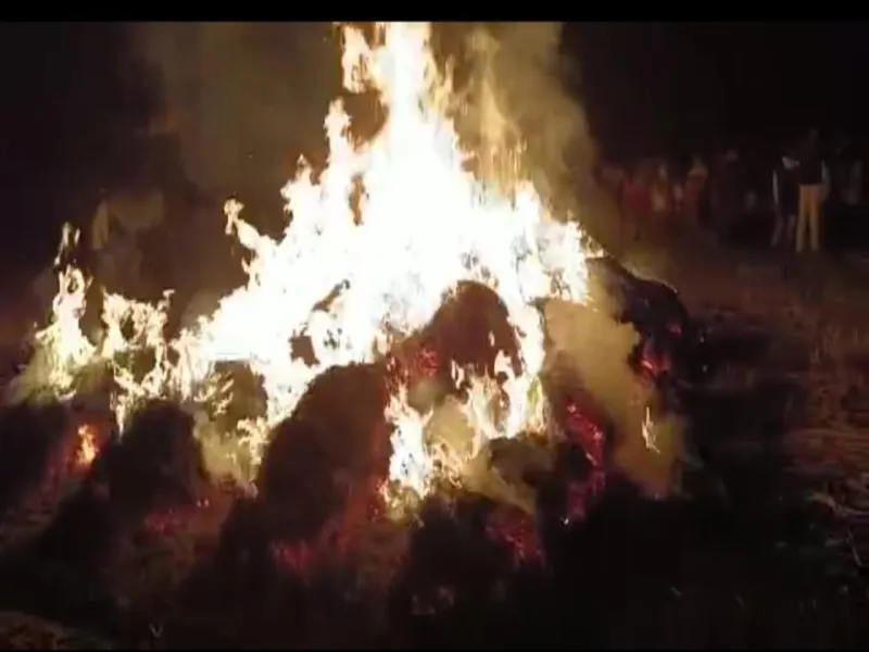 Video: बहराइच में किसान पर आई मुसीबत, कटाई कर रखे गेहूं के ढेर में लगी आग- फसल हुई राख 