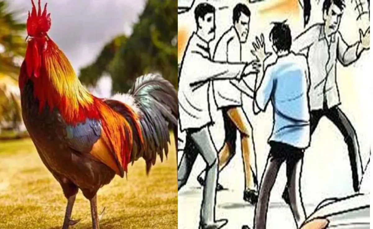 Bareilly: मुर्गी भगाने को लेकर दो पक्षों में चले लाठी डंडे, कई घायल