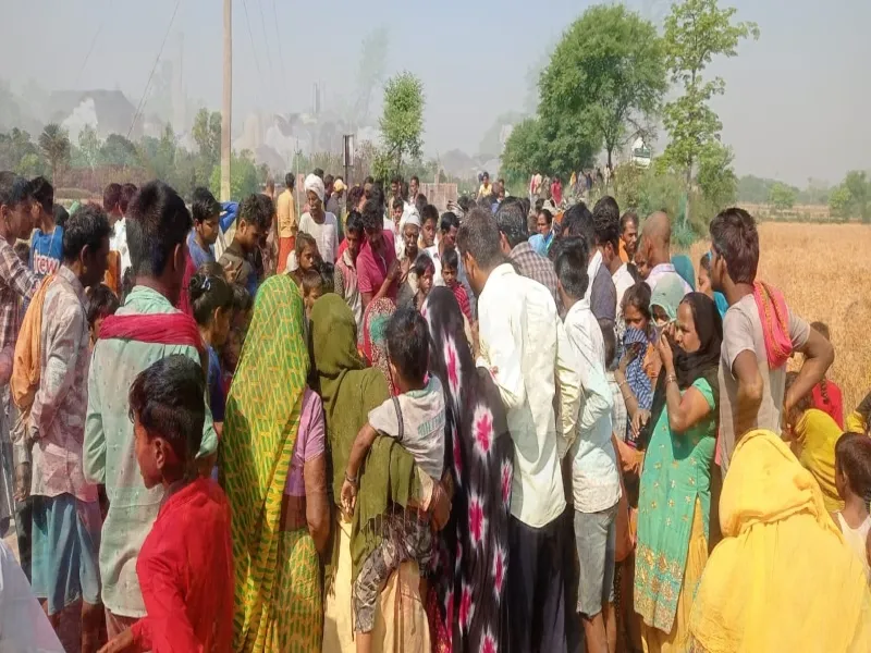 6 - 2023-04-11T104055.762