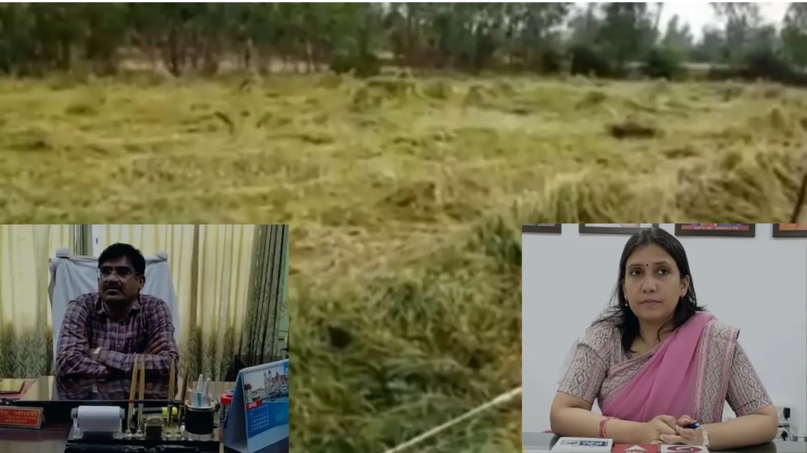 बरेली : किसानों की फसल नुकसान का आकलन जारी, जल्द मिल सकता है मुआवजा 
