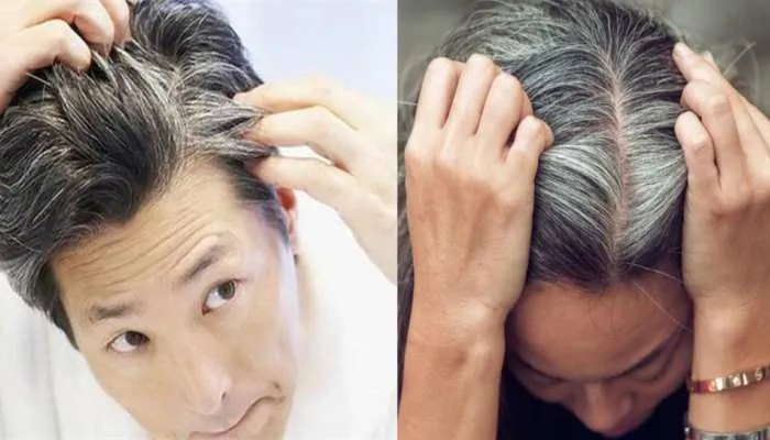 बाल क्यों होते हैं सफेद?, वैज्ञानिकों ने बताई इसकी असली वजह