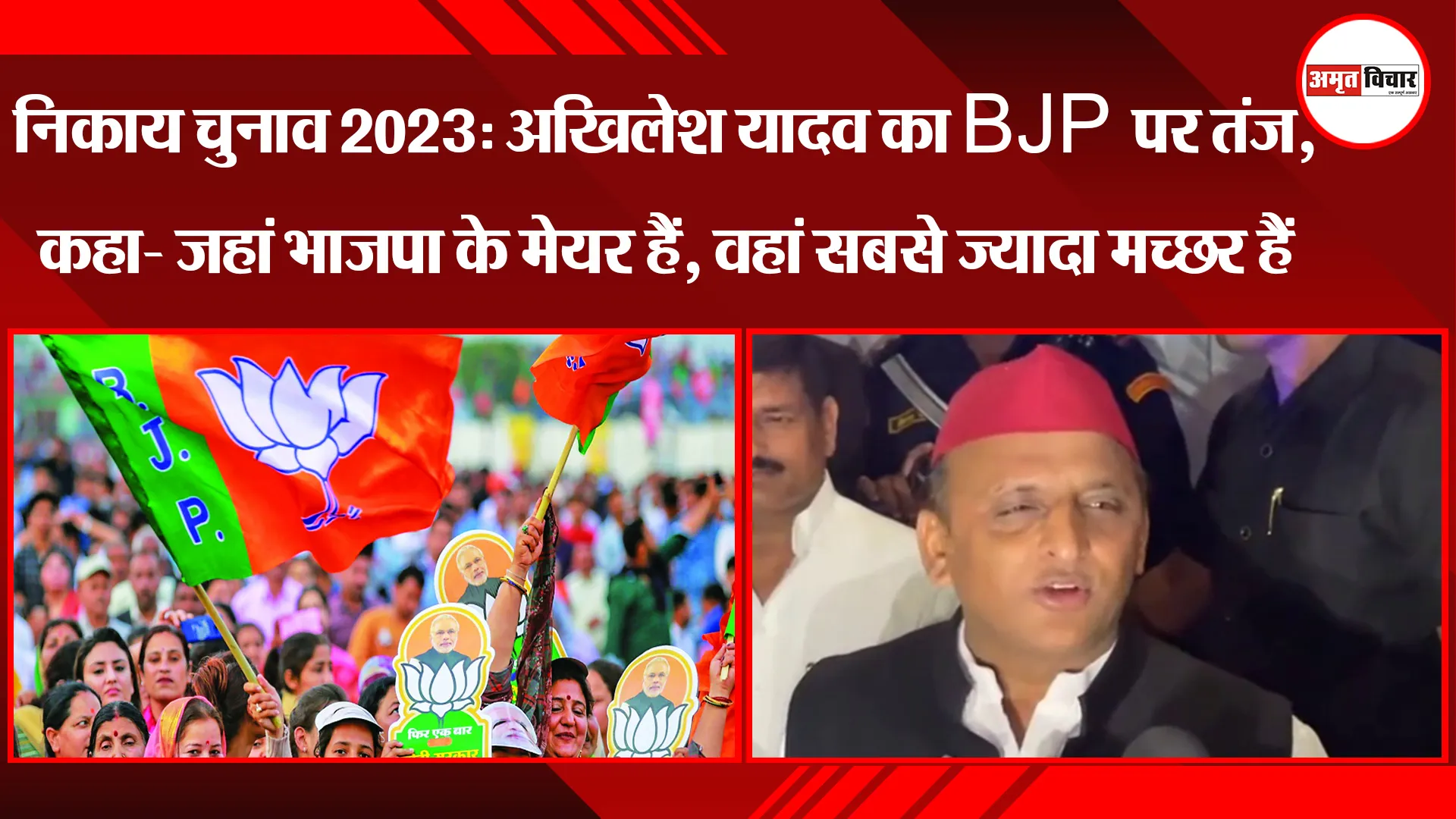 निकाय चुनाव 2023: अखिलेश यादव का BJP पर तंज, कहा- जहां भाजपा के मेयर हैं, वहां सबसे ज्यादा मच्छर हैं