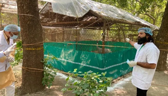 अपने दोस्त सारस से मिलने Kanpur Zoo पहुंचे आरिफ, पंख खोलकर किया स्वागत, छलक पड़े आसूं, जाने- क्यों