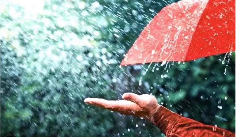 भवाली: अप्रैल में सामान्य से ज्यादा हुई बारिश, मई में भी होगा ठंड का एहसास