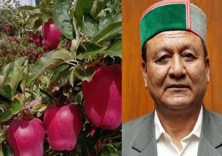 किलो के हिसाब से बिकेगा सेब, नियम को सख्ती के साथ करेंगे लागूः जगत सिंह नेगी