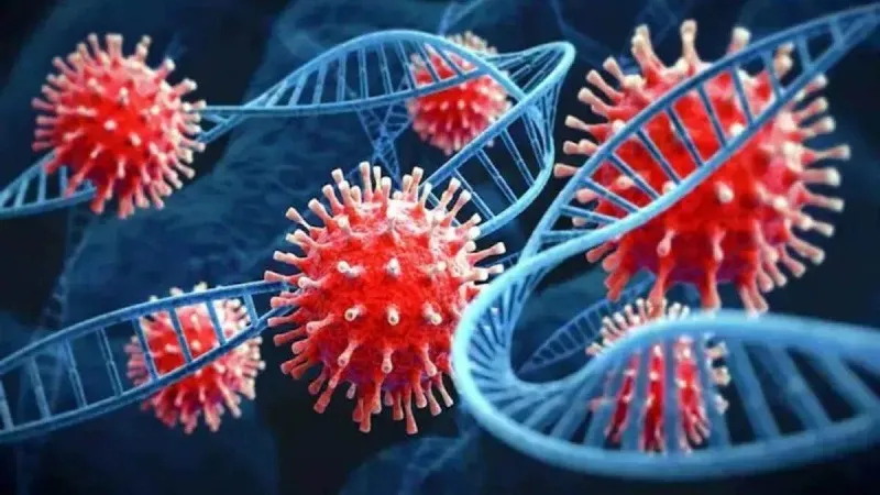 रामपुर:  चौथी लहर में जिले में कोरोना से पहली मौत, दो और निकले संक्रमित