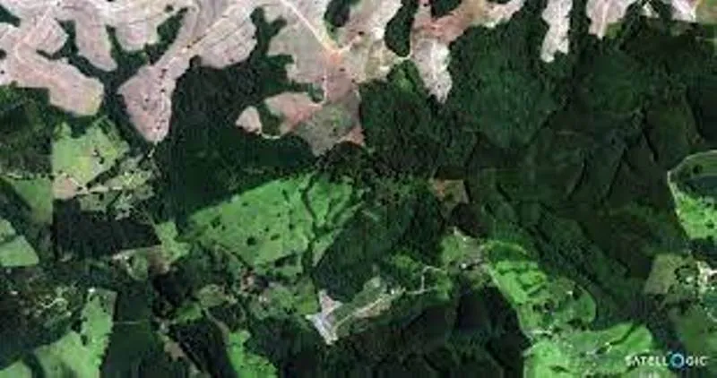 हल्द्वानी: जंगलों में अतिक्रमण बताएगी 20 साल पुरानी सैटेलाइट तस्वीरें