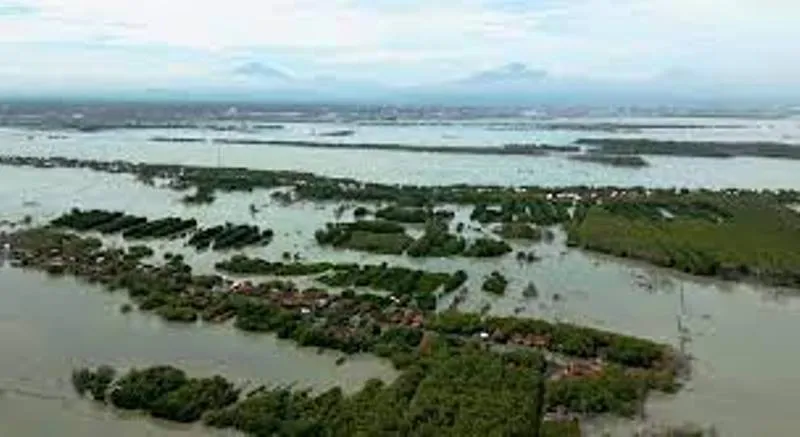 केरल में 'मैंग्रोव मैन' डूबते तटों को बचाने के लिए कर रहे हैं संघर्ष