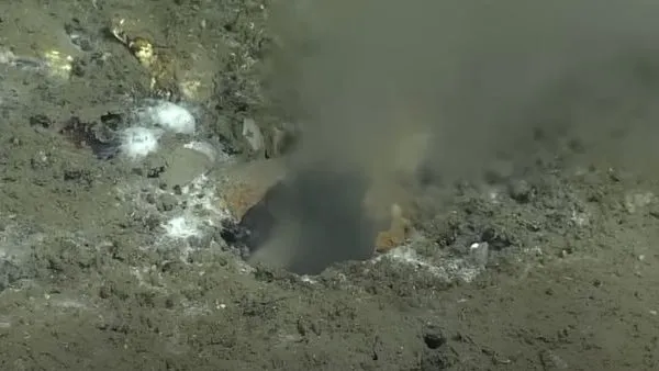 समुद्र के अंदर से निकल रही अजीब सी चीज, वैज्ञानिक बोले- ऐसा पहले कभी नहीं देखा..