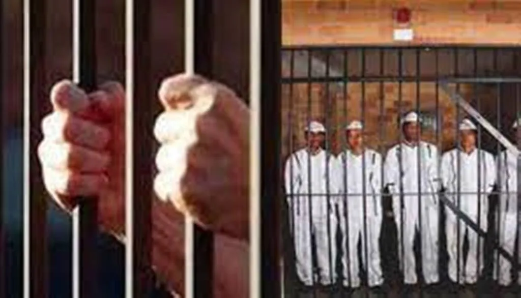 पुनर्वास योजना के तहत नागपुर अदालत के लिए कैदी बना रहे हैं उच्च गुणवत्ता वाली कुर्सियां 