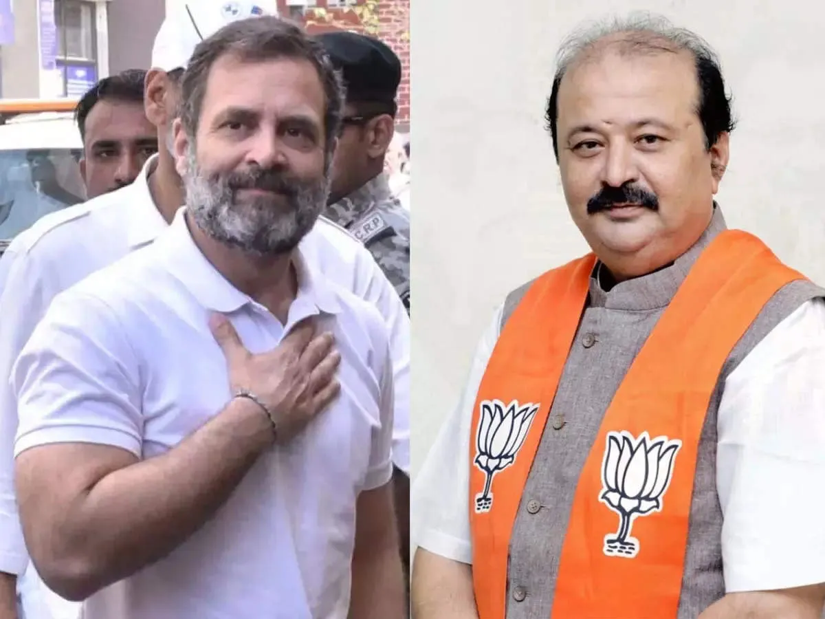 राहुल गांधी की याचिका का विरोध, शिकायतकर्ता ने कहा- कांग्रेस नेता को अपमानजनक बयान देने की आदत