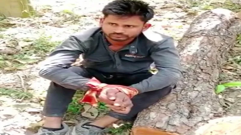 रामपुर : पीपली वन से खैर की 40 क्विंटल लकड़ी बरामद, बंधक बने वन तस्कर को वन कर्मियों ने छोड़ा, वीडियो वायरल 