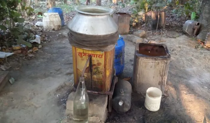  खटीमा में पेड़ों पर बनी मचानों में मिले कच्ची शराब के ड्रम, माफिया फरार