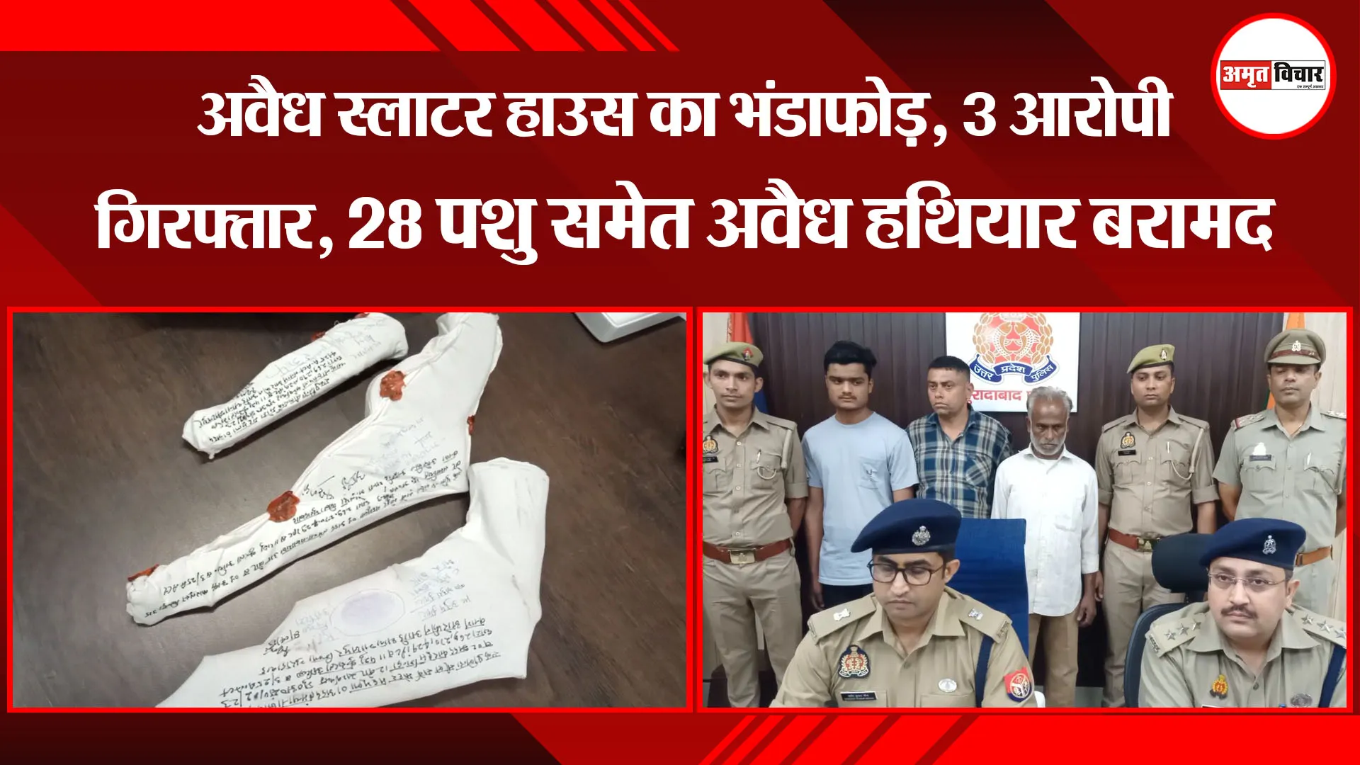 मुरादाबाद: अवैध स्लाटर हाउस का भंडाफोड़, 3 आरोपी गिरफ्तार, 28 पशु समेत अवैध हथियार बरामद 