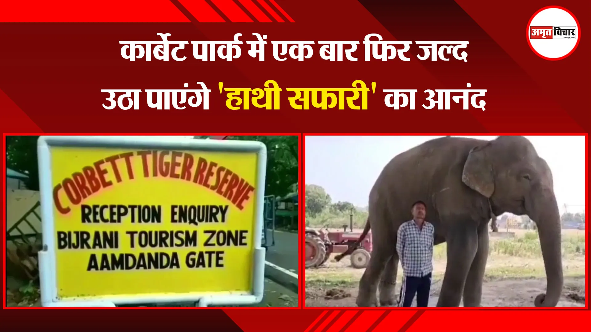 हल्द्वानी: कार्बेट पार्क में एक बार फिर जल्द उठा पाएंगे 'हाथी सफारी' का आनंद 