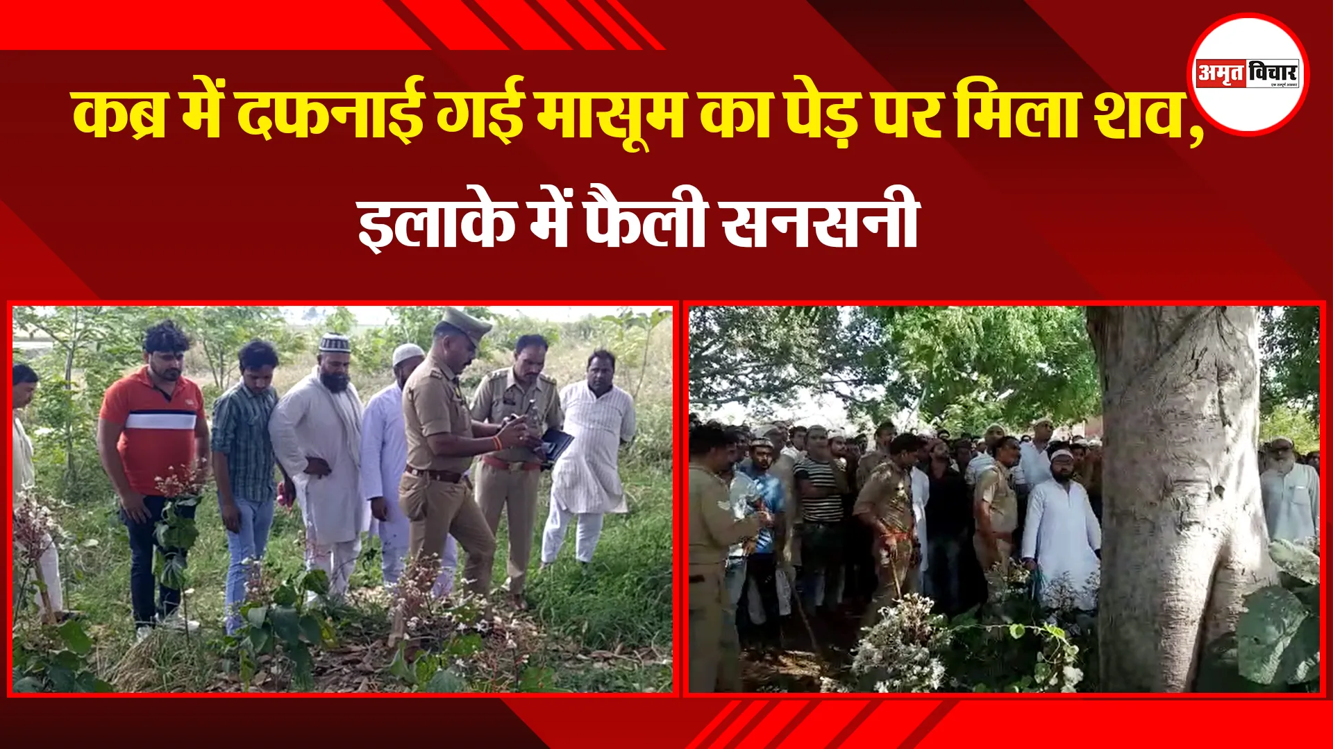 संभल: कब्र में दफनाई गई मासूम का पेड़ पर मिला शव, इलाके में फैली सनसनी
