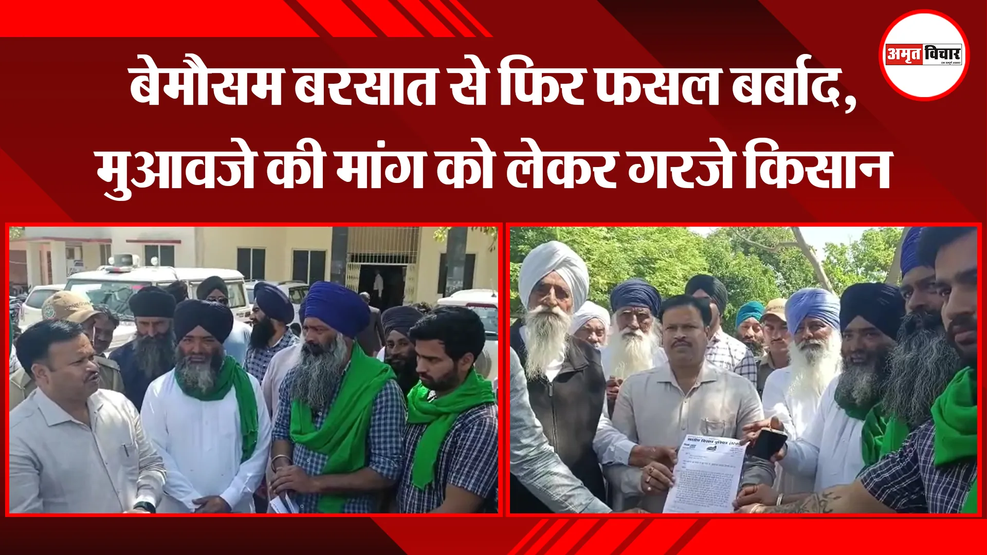 बाजपुर: बेमौसम बरसात से फिर फसल बर्बाद, मुआवजे की मांग को लेकर गरजे किसान