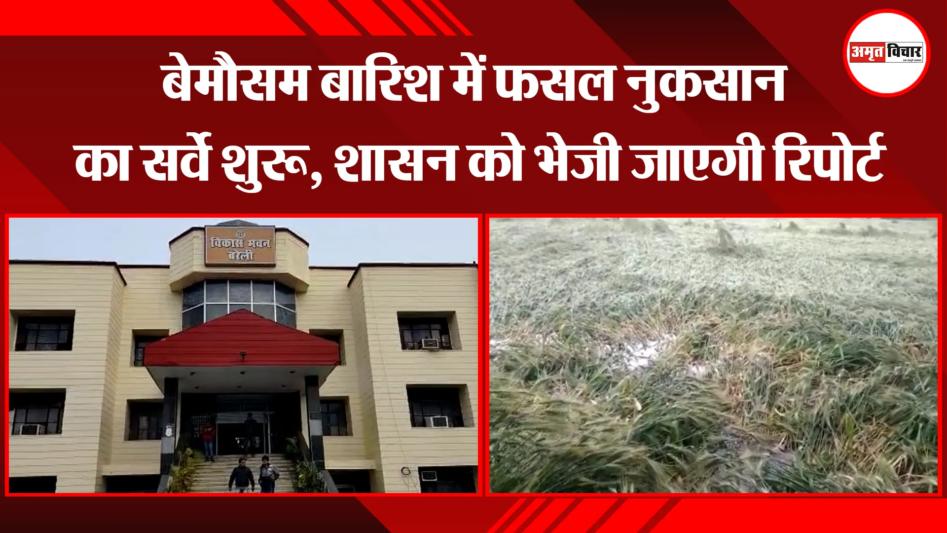 बरेली: बेमौसम बारिश में फसल नुकसान का सर्वे शुरू, शासन को भेजी जाएगी रिपोर्ट