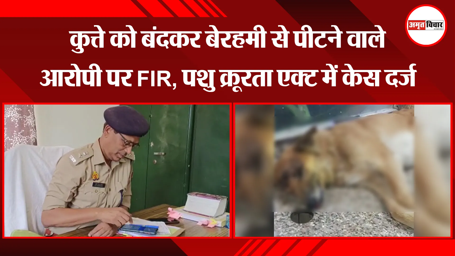 मुरादाबाद: कुत्ते को बंदकर बेरहमी से पीटने वाले आरोपी पर FIR, पशु क्रूरता एक्ट में केस दर्ज