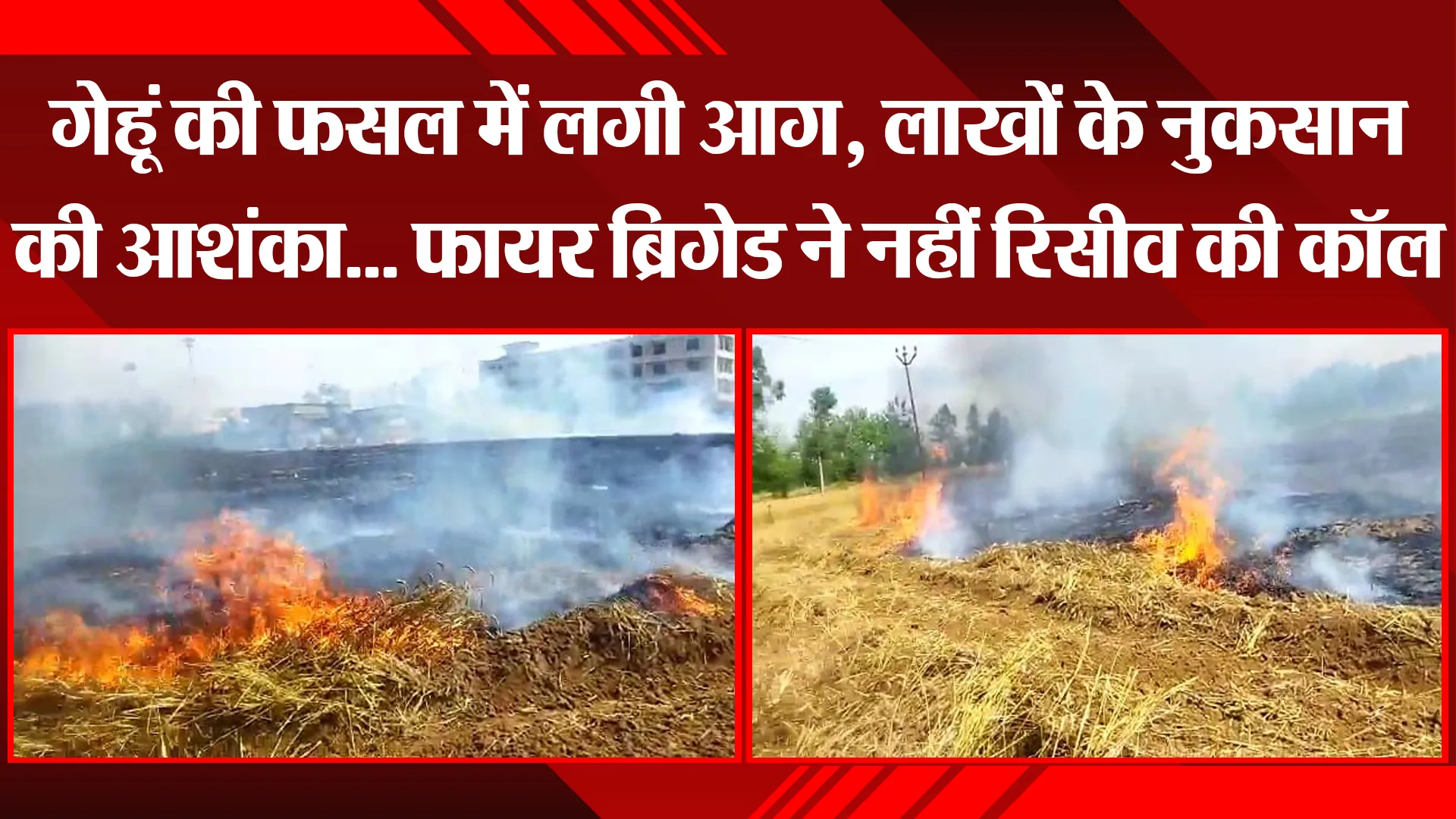 बरेली: गेहूं की फसल में लगी आग, लाखों के नुकसान की आशंका... फायर ब्रिगेड ने नहीं रिसीव की कॉल