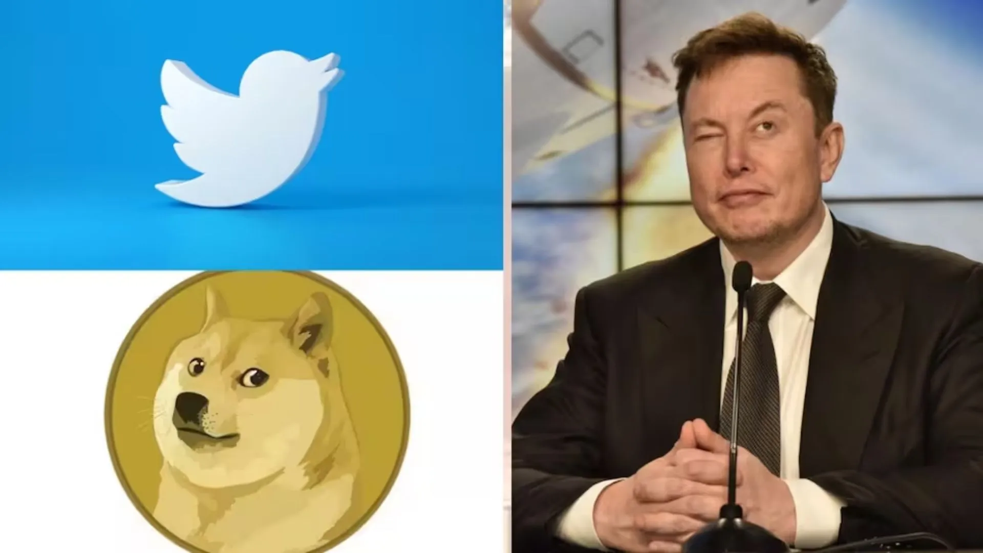 Twitter Logo : उड़ गई नीली चिड़िया ! अब Elon Musk ने 'डॉगी' को बनाया ट्विटर का नया लोगो