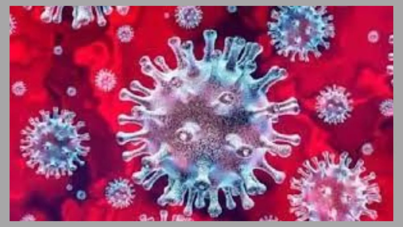 चंपावतः कोरोना की आहट से सनसनी, 16 वर्षीय कोरोना संक्रमित छात्रा की मौत 