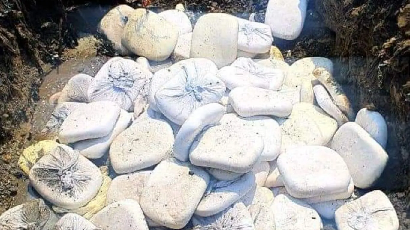 Kashipur News: खाद्य विभाग ने पकड़ा 330 किलो मिलावटी पनीर, डेयरियों में भी छापा, मचा हडकंप