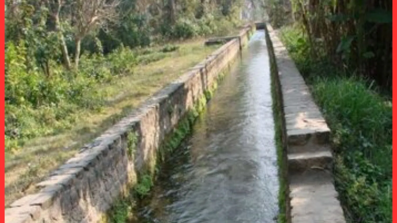 Haldwani News: हल्द्वानी की 51 नहरों में 26 नहरों का डिस्चार्ज स्तर 20 क्यूसेक से कम, 50 से अधिक गांवों को सप्लाई होता है पानी